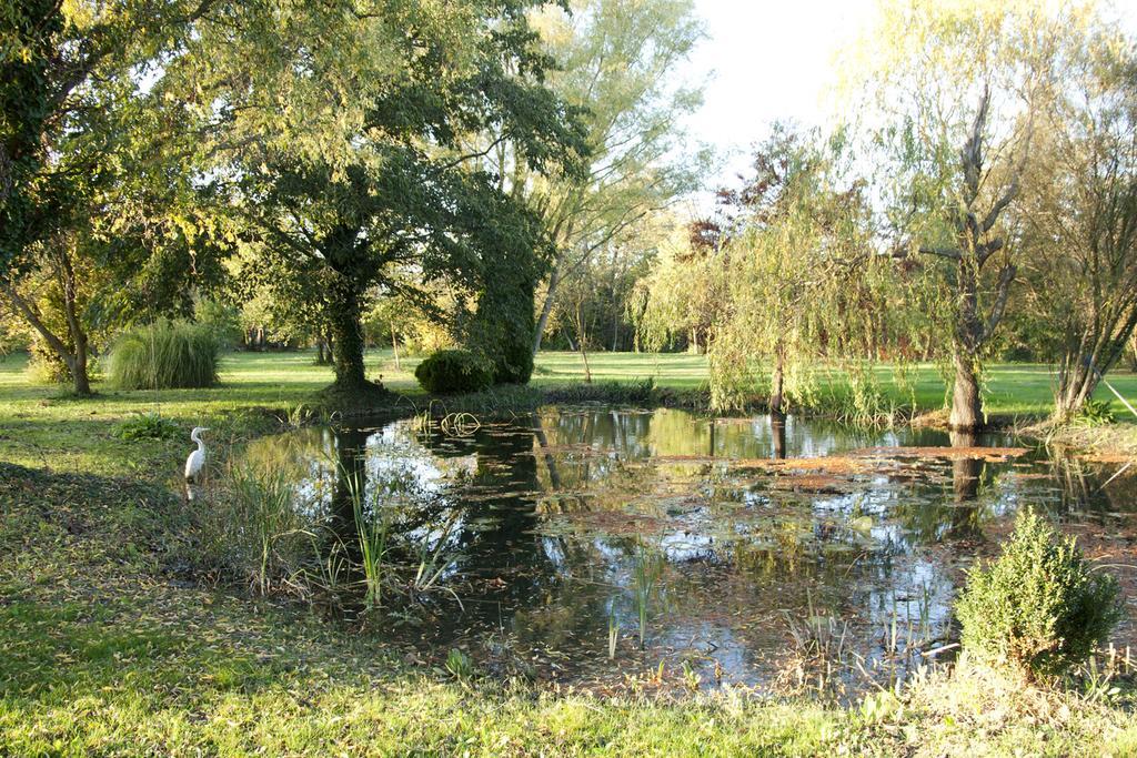 Maison Pres De L'Eau LʼIsle-sur-la-Sorgue Exteriér fotografie