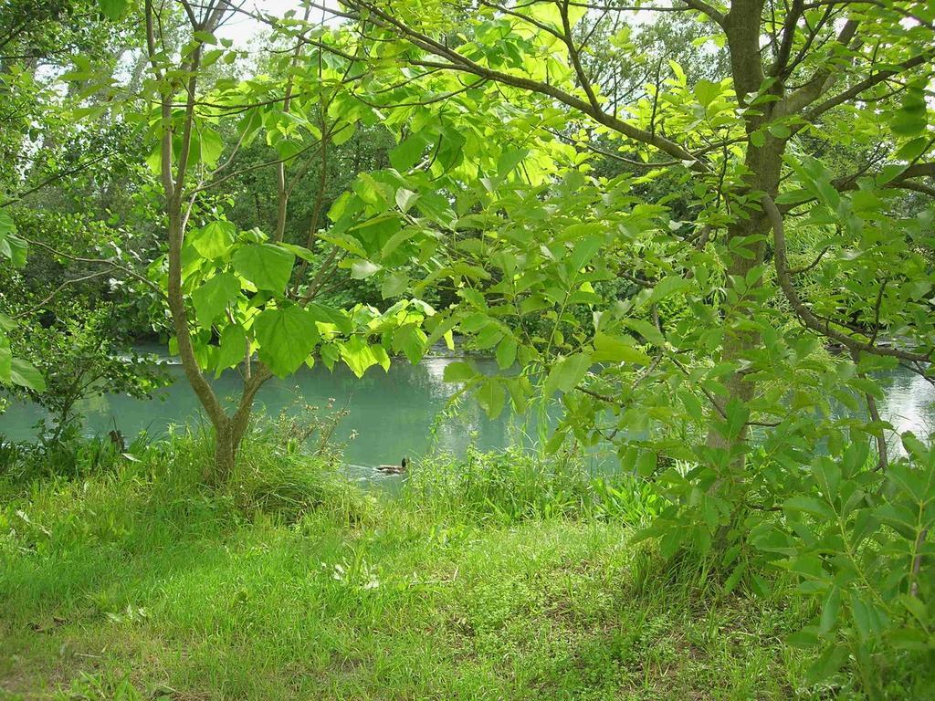 Maison Pres De L'Eau LʼIsle-sur-la-Sorgue Exteriér fotografie